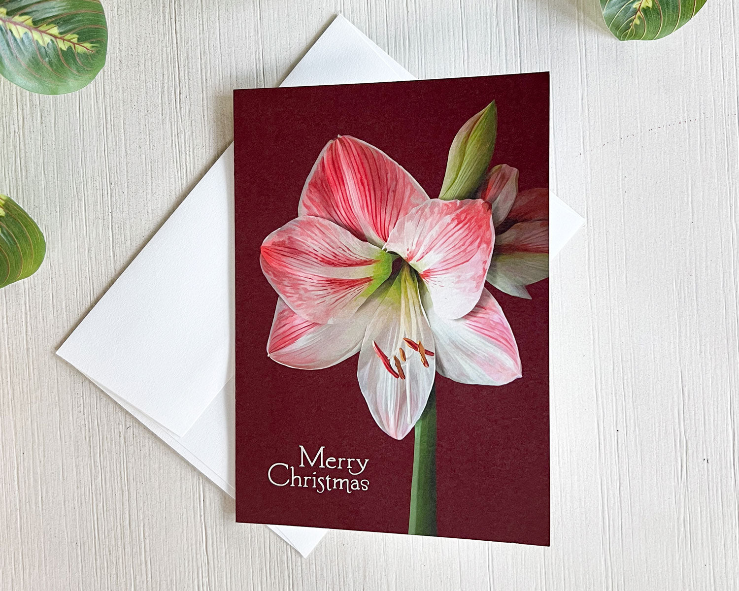 Greeting Cards