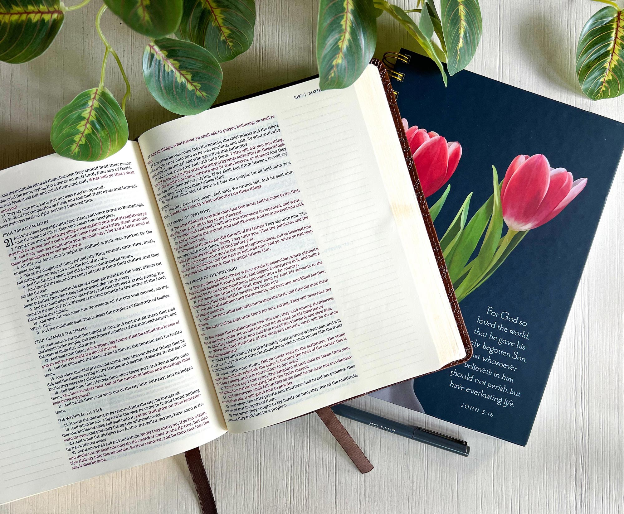 KJV Bible and notebook featuring John 3:16 and pink tulips